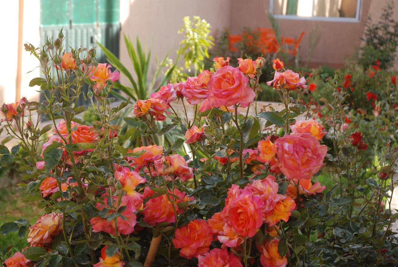 Kasbah Dounia Hotel Kerrando Exterior photo